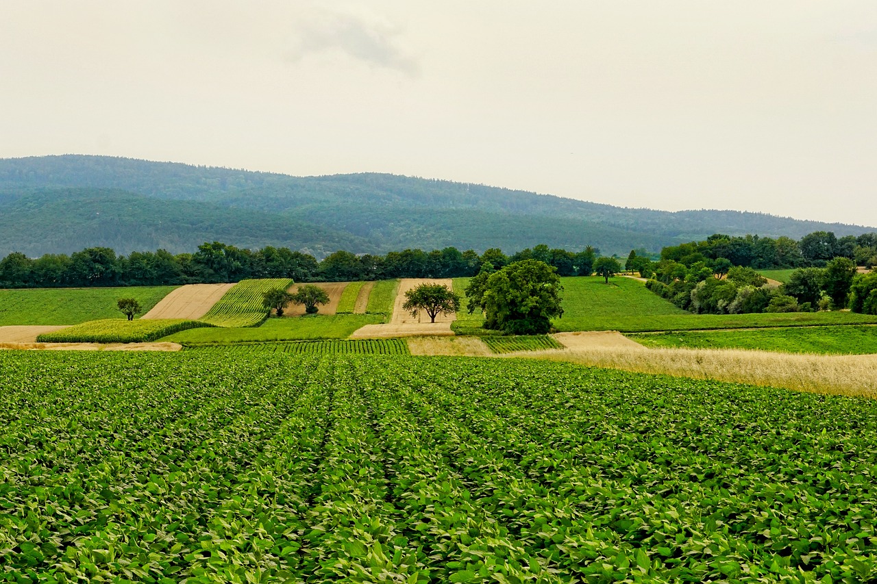 Agriculture & Environnement